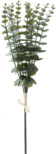 Eukalypthuszweig, grün, St 1