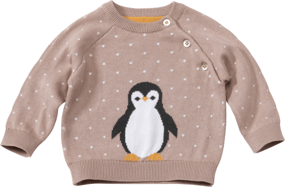 Pullover aus Strick mit Pinguin-Motiv, beige, Gr. 62, 1 St
