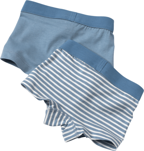 Pants, blau, Gr. 110, 2 St