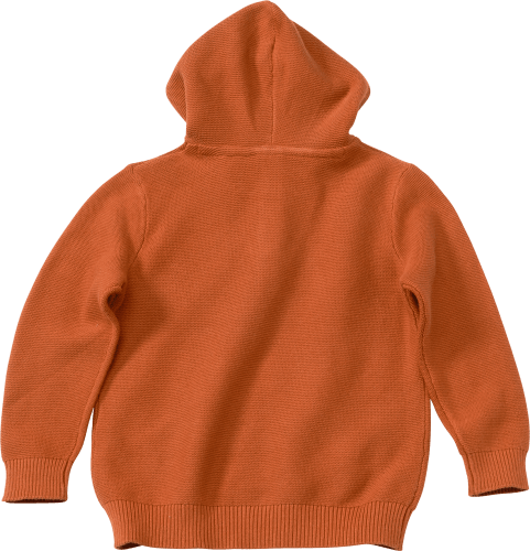 Pullover mit Kapuze, braun, 1 Gr. 98, St