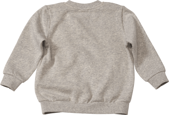 Sweatshirt mit Fuchs-Motiv, St 1 Gr. grau, 104