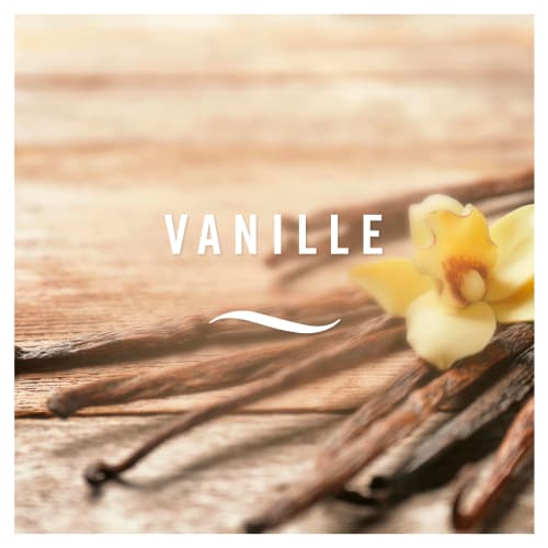 Lufterfrischer 300 Vanille, ml