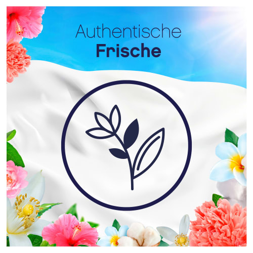 Weichspüler Pure & Fresh Baumwollblüte WL, 0,95 l 38