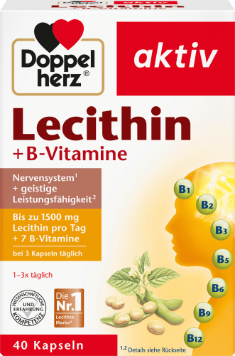 Lecithin + B-Vitamine Kapseln 40 St., 41,6 g | Gedächtnis & Konzentration
