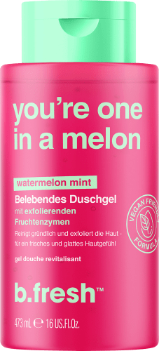 Duschgel you´re in 473 a one melon, ml