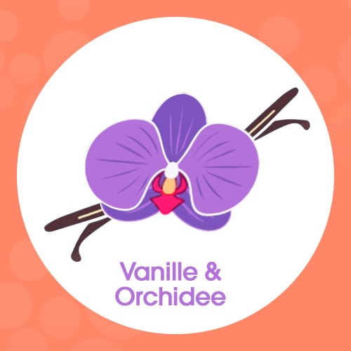 Schaumhandseife Orchidee, 250 ml & Vanille