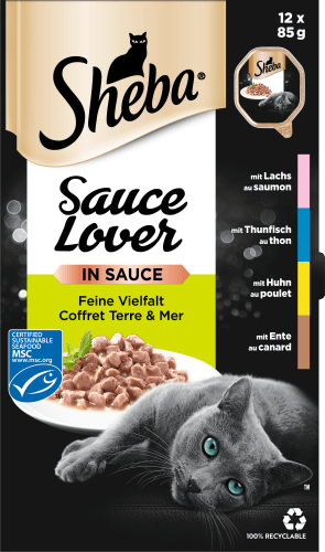 Nassfutter Katze, Huhn, Ente, Lachs Thunfisch, (12x85 Multipack in feine kg Vielfalt, - Lover 1,02 & Sauce Sauce g)