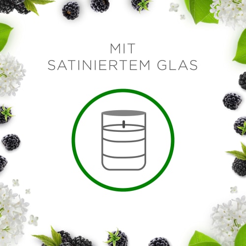 2 Duftkerze (2x105 g), im & Holunderblüte St Brombeere Glas