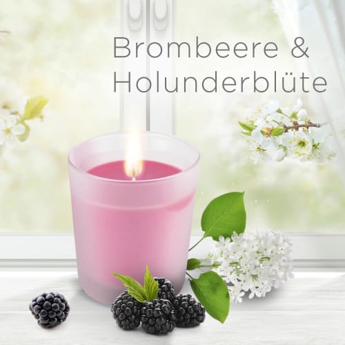 Duftkerze im St & Holunderblüte (2x105 Brombeere g), 2 Glas