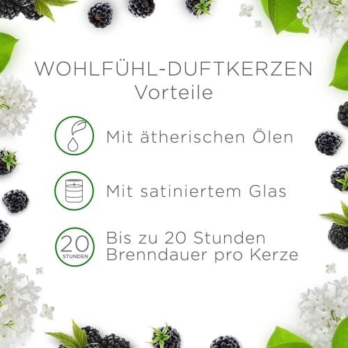 2 St & Glas im Brombeere g), Duftkerze Holunderblüte (2x105