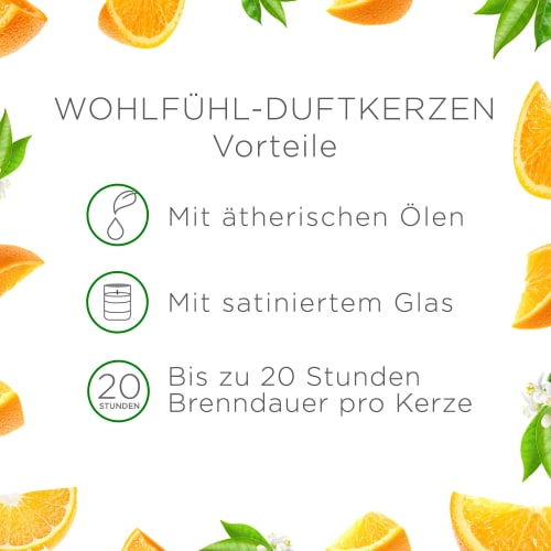 St im Orange (2x105 Glas 2 Duftkerze g), Anti-Tabak