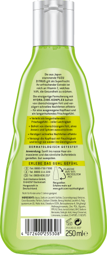 Shampoo Frische & Leichtigkeit Anti Fett, ml 250