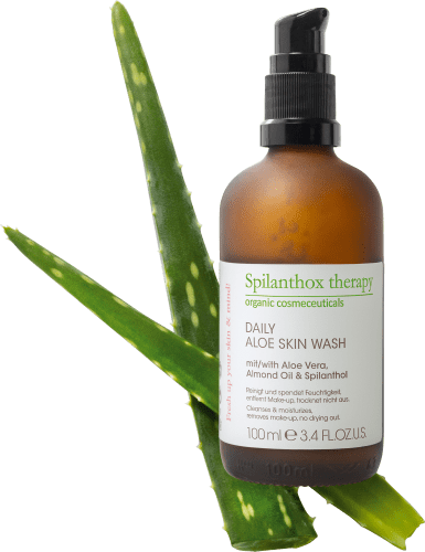 Waschgel Daily Aloe, 100 ml