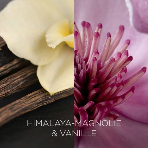 205 Duftkerze Vanille, Glas im Himalaya-Magnolie g &