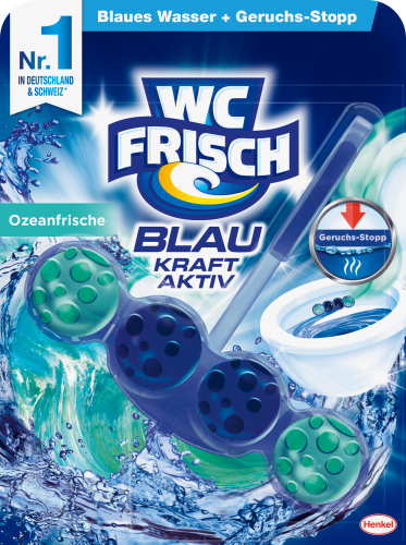 WC-Stein Blau Kraft-Aktiv Ozeanfrische, 1 St