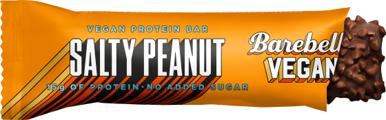 Salty Proteinriegel Peanut, g vegan, 55