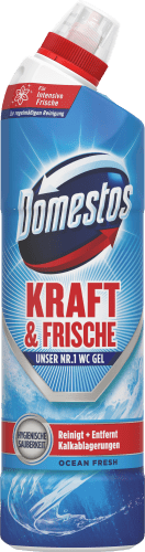 WC-Reiniger Kraft & Frische Ocean Fresh, 750 ml