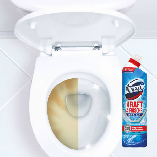 WC-Reiniger Kraft & Ocean 750 ml Fresh, Frische