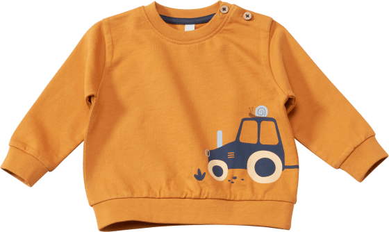 Sweatshirt mit Traktor-Applikation, braun, Gr. 74, 1 St