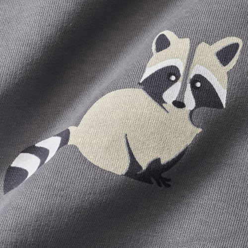 Sweatshirt mit Waschbär-Motiv, grau & 1 Gr. weiß, St 98