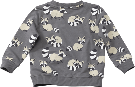Sweatshirt mit Waschbär-Motiv, grau & 104, 1 St Gr. weiß