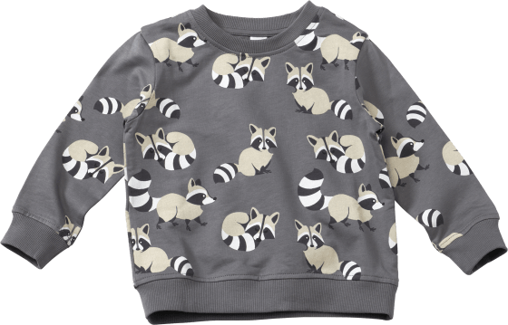 Sweatshirt mit Waschbär-Motiv, grau & 104, 1 St Gr. weiß