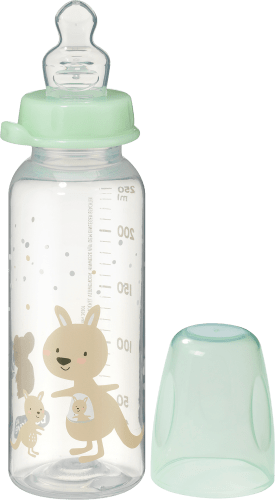 Babyflasche mint, von Geburt an, 250 ml, 1 St