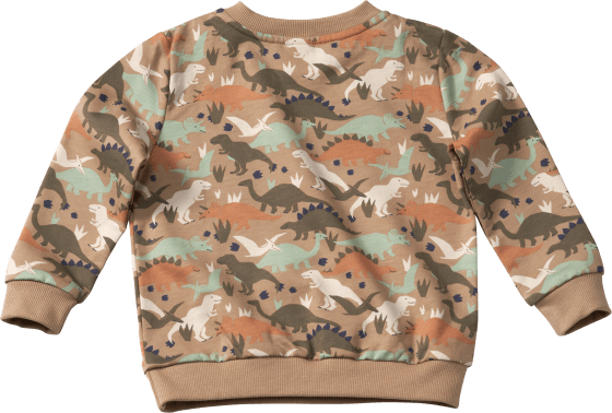 Sweatshirt Pro Climate mit Dino-Muster, 110, grün, Gr. St 1