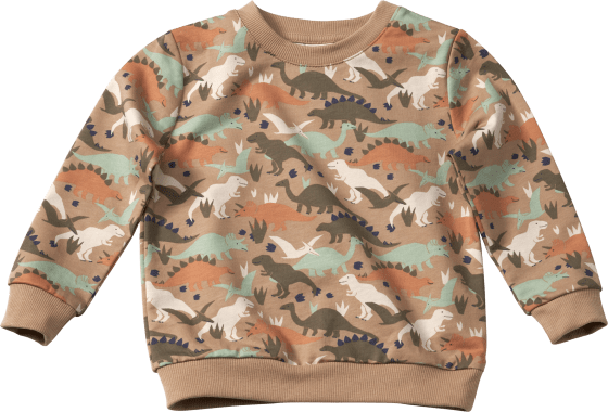 Sweatshirt Pro Climate mit Dino-Muster, 110, grün, Gr. St 1