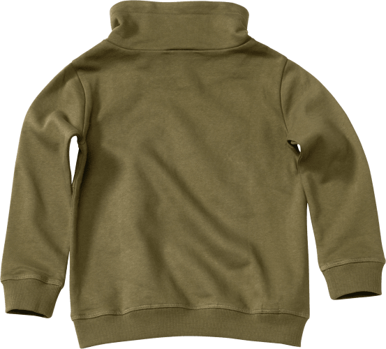 Sweatshirt mit Kragen, grün, Gr. St 1 122