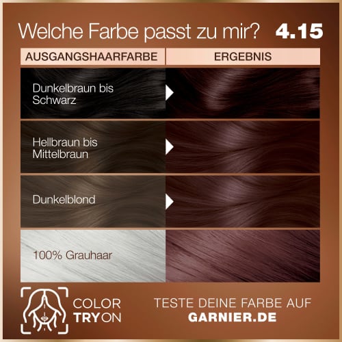 Haarfarbe 4.15 Kühles Kastanien Braun, St 1