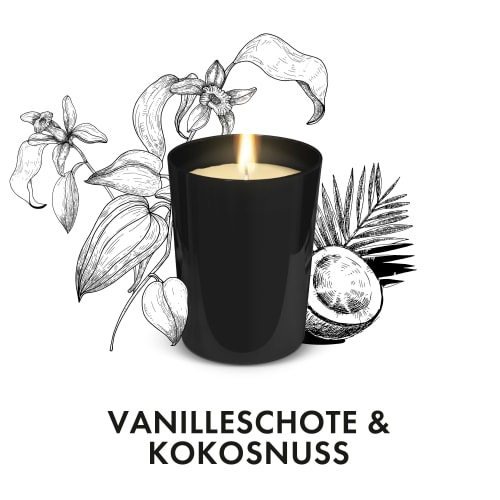 Duftkerze im & St Vanilleschote 1 220g, Glas Kokosnuss