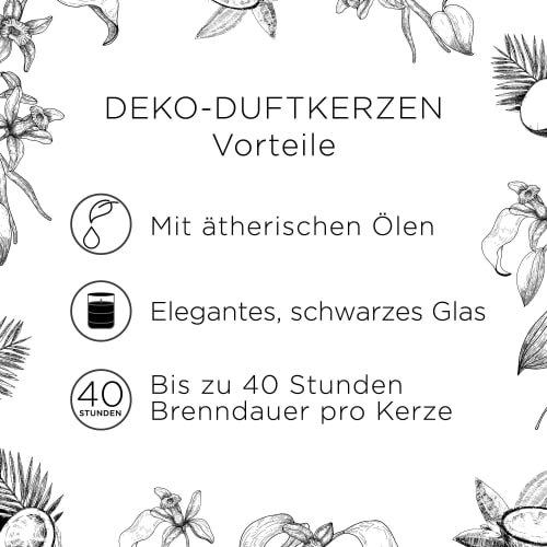 Kokosnuss & St 220g, Vanilleschote im 1 Glas Duftkerze