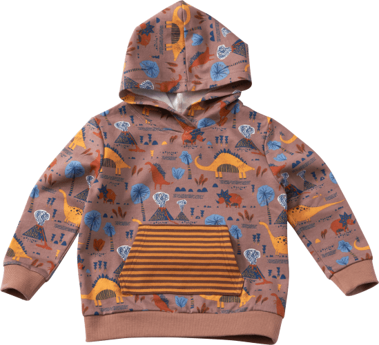 Sweatshirt mit Kapuze, braun, Gr. 98, 1 St