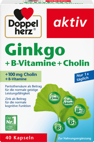 Ginkgo + B-Vitamine + 40 g Cholin Kapseln 22,4 St