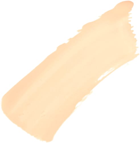 Concealer Perfect Match ml Vanille, 6,8