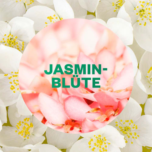 Jasminblüte 228 Active Nachfüllpack, Fresh Lufterfrischer ml