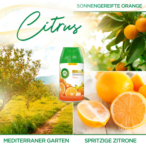 Citrus (2x250 ml), 500 Lufterfrischer Freshmatic Nachfüllpack ml