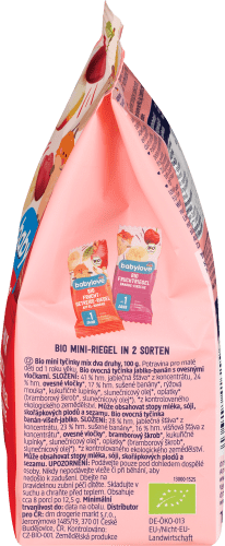 Fruchtriegel Bio Mini-Riegel-Mix 8x12,5g Jahr, 1 100 ab g