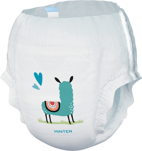 Baby Pants Premium 40 kg), Jumbo Pack, Gr. (13-20 Junior 5 St