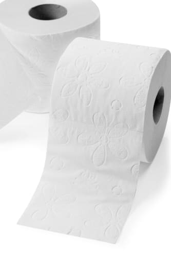 Toilettenpapier St Blatt), 24 3-lagig (24x300 Classic Stroh