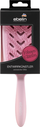 Professional Entwirrkünstler Föhnen & St Glätten, 1