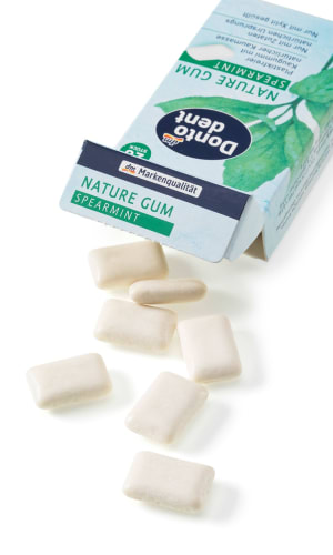 Kaugummi Nature Gum, St 20 Spearmint