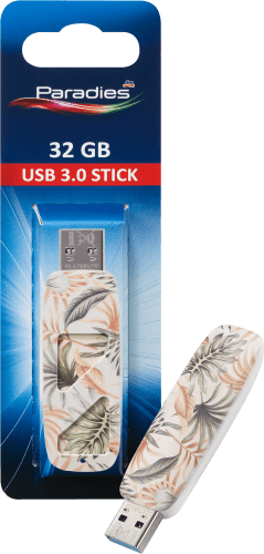 USB 1 Blätter, Motiv St Stick