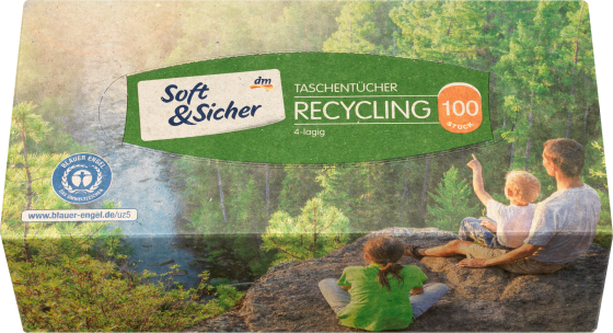 St Taschentücher Box Recycling, 100