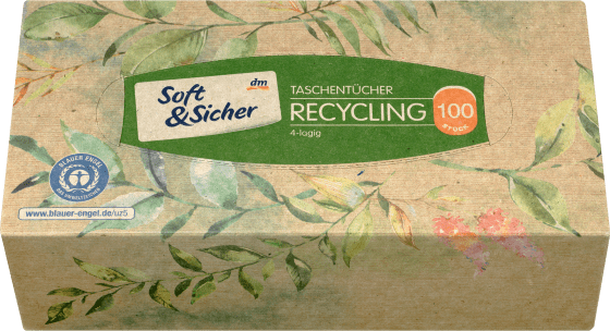 Taschentücher Box Recycling, 100 St