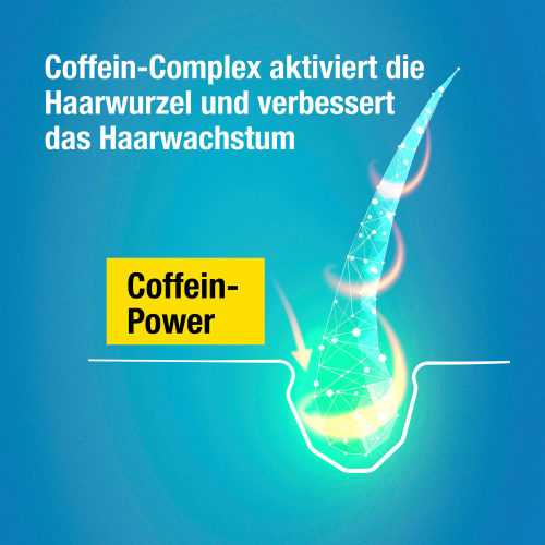 250 Hybrid ml Shampoo Coffein,