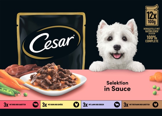 Nassfutter Hund Selektion in Sauce, Multipack (12x100 g), 1,2 kg