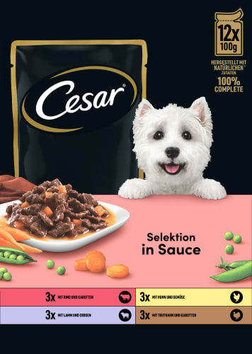g), Sauce, 1,2 in Multipack Hund Selektion Nassfutter kg (12x100