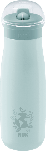 Trinkhalmflasche Edelstahl Mini-Me mint, 500ml, 1 St